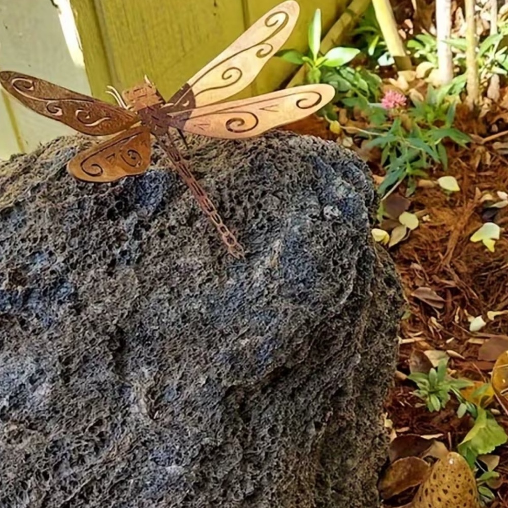 Dragonfly - Picture 8 of 8